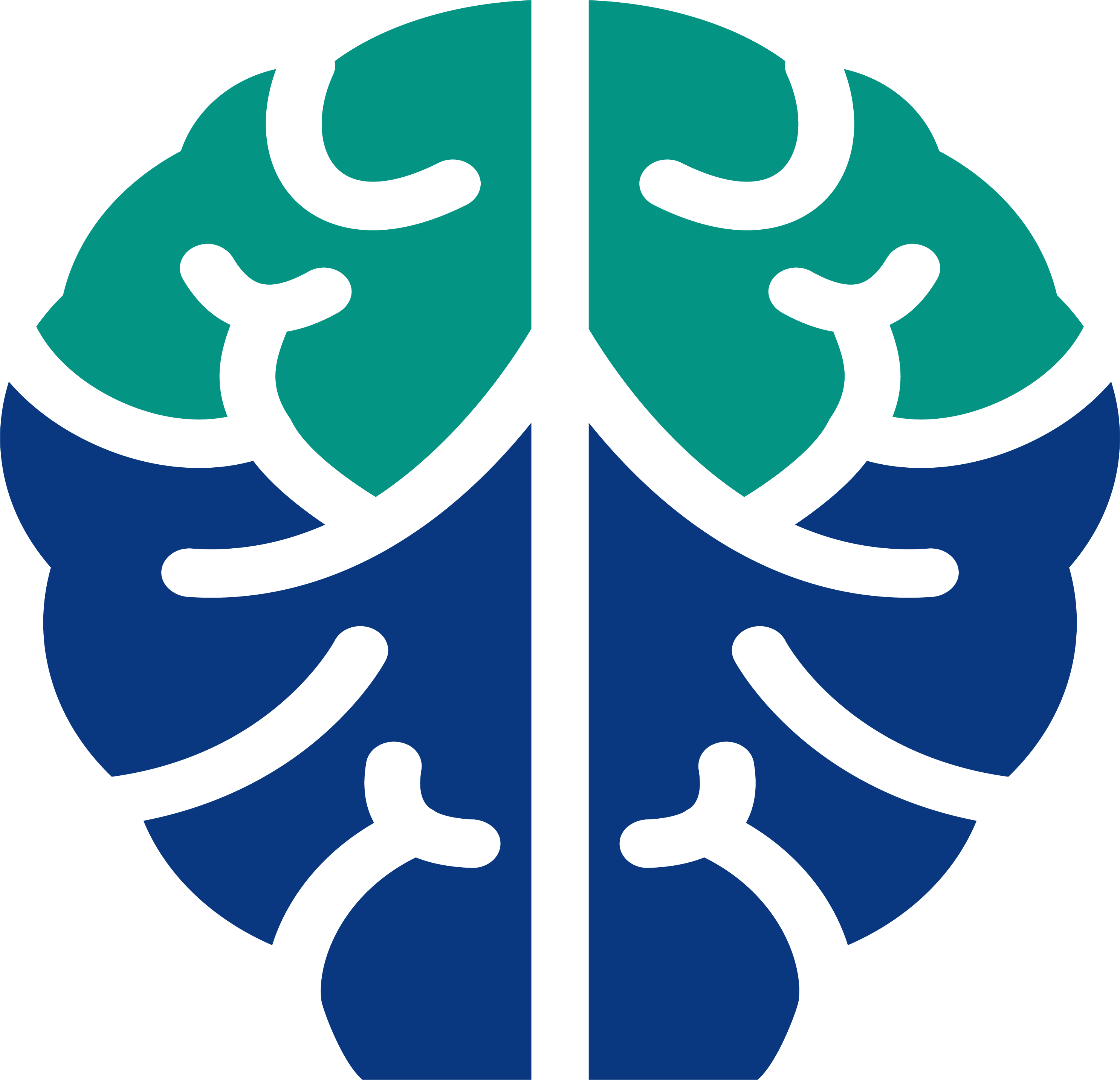 brain2